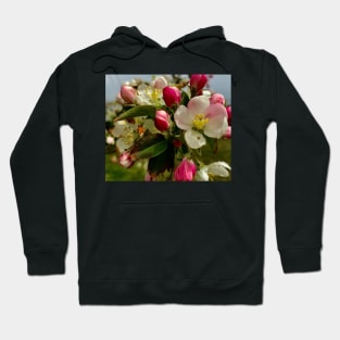 Springtime blossoms Hoodie